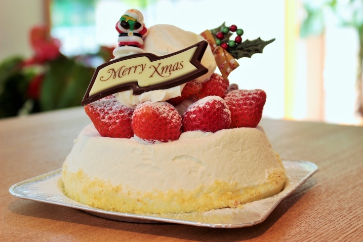 クリスマスケーキ販売予告 菓子職人chez Miura S シェ ミウラ のニュース まいぷれ 岡山市中区 南区