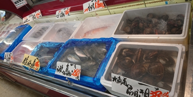 「八千代市、佐倉市の鮮魚店  　京成、東葉勝田台から徒歩10分　 魚や山粋（ヤマスイ)   【10/8秋の味覚】」