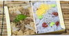 和牛の旨みと、さっぱりした梅じゃこ、ご飯2種入り「寿々半　8月の彩り弁当」