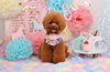Happybirthday　にこくん♡「Anniversaryphoto　(*^-^*)」