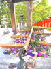 秋の景色と花手水。「秋の花手水その② 始まりました。」