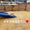 まいぷれ橿原の看板犬アンちゃん「今年も、地域情報、橿原・葛城・大和高田・御所・明日香村・高取、まいぷれ橿原をよろしくお願い致します。」