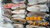 「○本日のお刺身○【しまね定置もん！】アオリイカ、大アジ」