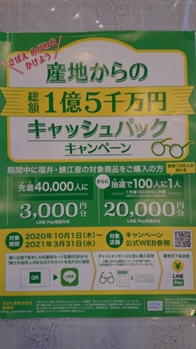 「キャンペーンやってます　【尼崎・塚口にあるメガネ屋、補聴器の無料相談・メンテナンス】」