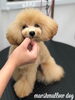 ナノちゃん「スタイルチェンジ　^ - ^」