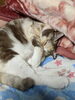 私の癒やし…そらちゃんです(≧▽≦)「Q＆Ａまとめてみました！」