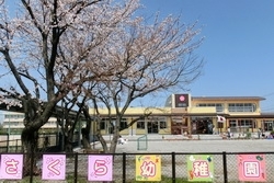 「黒部市立さくら幼稚園」広い園庭と明るい園舎、三本のシンボル桜が見守るさくら幼稚園