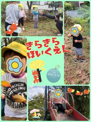 はっぱみーつけた☆「いつもより少し遠出して…  [交野市・小規模保育園]」