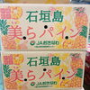 「台湾産も良いけど、国産(沖縄県産)もお忘れなく！！ 沖縄県石垣島産　「パイナップル(ジュワリーパイン)」 が入荷していますよ～。」