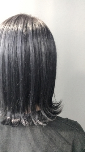 全頭ブリーチ後に色を入れてます「シャドウブルー【髪質改善は京都市西京区のヘアサロン、フレールにお任せ下さい】」