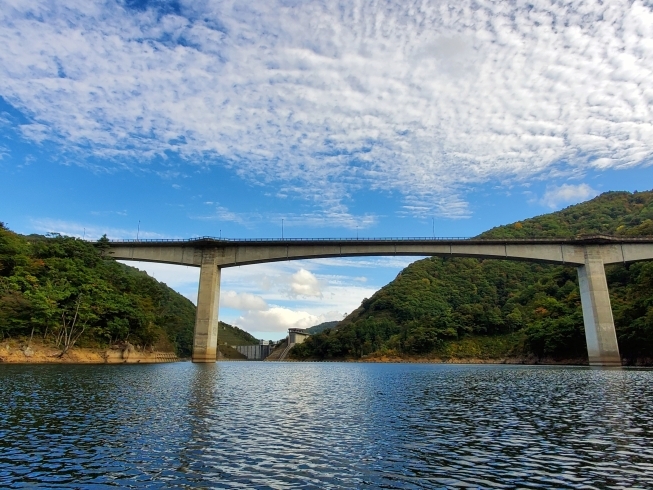 湖面から見る《竜神大橋》「10月16日から始まる《長井 百秋湖の遊覧船》のプレ遊覧に行ってきました。」