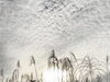 「いわし雲とすすきの穂」