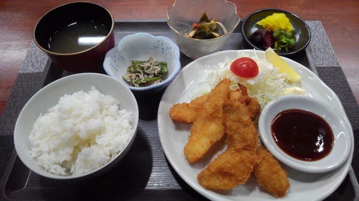 白身魚のフライ平目です‼️「お気軽にお越しくださいませ‼️【鳥夜ゆうこ、京都市南区、居酒屋、ランチ、地鶏、お刺身 】」