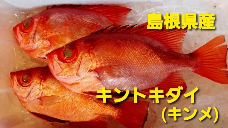 本日のお刺身 島根県産 キントキダイ キンメ キツネカツオ 寺津屋 仕出し 会席料理のニュース まいぷれ 松江