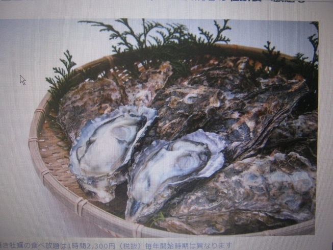 「11月から広島牡蠣のシーズンです」