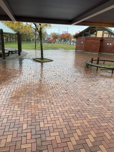 カリンバ自然公園「雨」