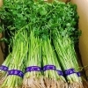 「江釣子せり」の出荷が始まったよー♪♪