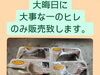 「塩引き鮭販売中でーす‼️」