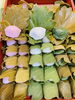 柏餅です。左から白味噌あん、こしあん、つぶあん「今日はこどもの日、端午の節句です」