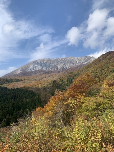 「大山の紅葉」