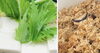 元気になる 湯豆腐と炊き込みおこわ「元気になる 湯豆腐と炊き込みおこわ「米津町で腸活ランチが食べられる古民家カフェ」
