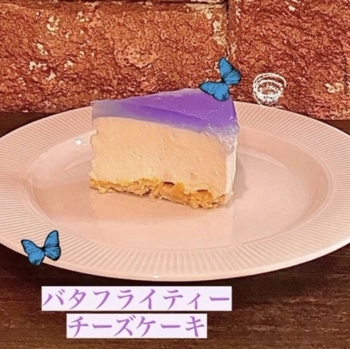 「海のチーズケーキ」