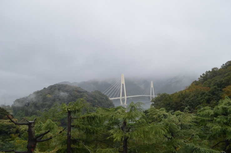 雨のクレインブリッジ「舞鶴観光の際はお天気に左右されることない 「舞鶴引揚記念館」へどうぞ　❕」