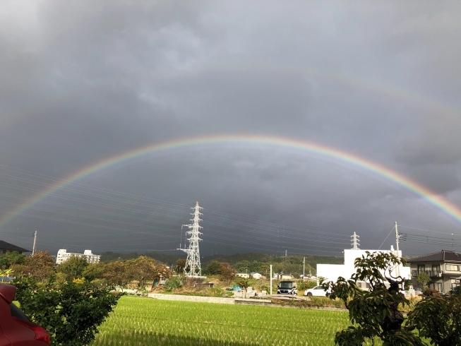 「1１月水曜休診日のお知らせです。」