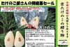 「たけのこ屋さんの「お歳暮セール」　　　」
