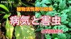 「【菌の力】野菜の病害虫防除　タネのハシモト」