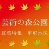 芸術の森公園　紅葉スポット甲府エリア