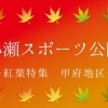 小瀬スポーツ公園　紅葉スポット甲府エリア
