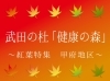 武田の杜 健康の森 紅葉スポット甲府エリア 紅葉特集 まいぷれ 甲府市 昭和町