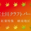 富士川クラフトパーク紅葉スポット峡南エリア