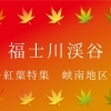 福士川渓谷　紅葉スポット峡南エリア