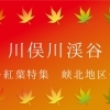 川俣川渓谷　紅葉スポット峡北エリア
