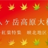 八ヶ岳高原大橋　紅葉スポット峡北エリア