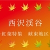 西沢渓谷　紅葉スポット峡東エリア