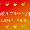 笛吹川フルーツ公園　紅葉スポット峡東エリア
