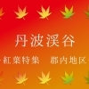 丹波渓谷