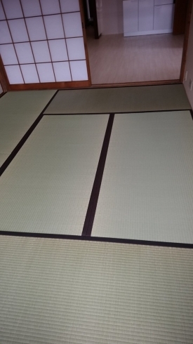 「日本国産藺草表、工業製畳表各種取り扱っております。使う方の感性や部屋の雰囲気、用途に合わせて豊富な畳表材の中からお選びいただけます。」