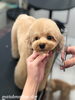 カット中〜　立くん「秋のオプションキャンペーン　^ - ^」