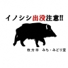 2020 11 06 東部公園ではイノシシに注意 枚方市役所のニュース まいぷれ 枚方市