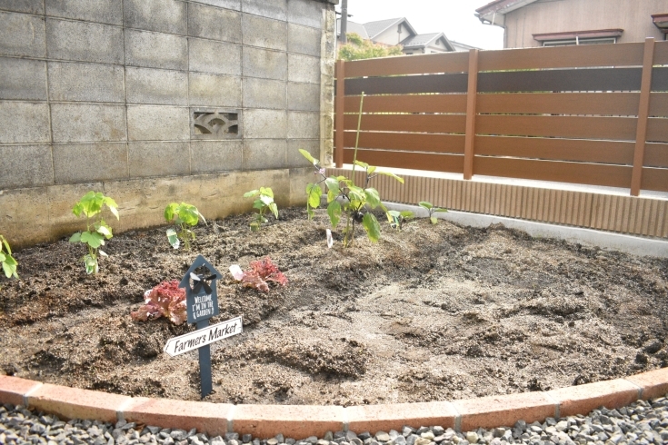 家庭菜園を始めるなら春がオススメ お庭に小さい畑を作りませんか 株式会社グリーンライフのニュース まいぷれ 福島市
