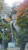 「紅葉」
