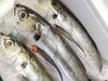 鹿児島甑島の鬼鯵「鬼滅の…」