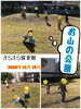 お山の公園でボールしたよ♪♪「バイ菌バイバーイ!! 【交野市 小規模保育園】」