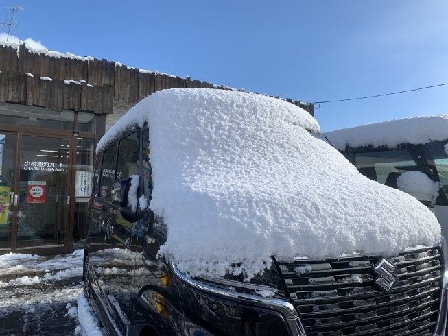 いっぱい積もりました❄「突然の積雪です！」