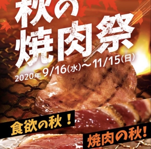 「早く行かなきゃ！！秋の焼肉祭【飲み会・女子会・おすすめ・焼肉食べ放題・焼肉・ランチ】」