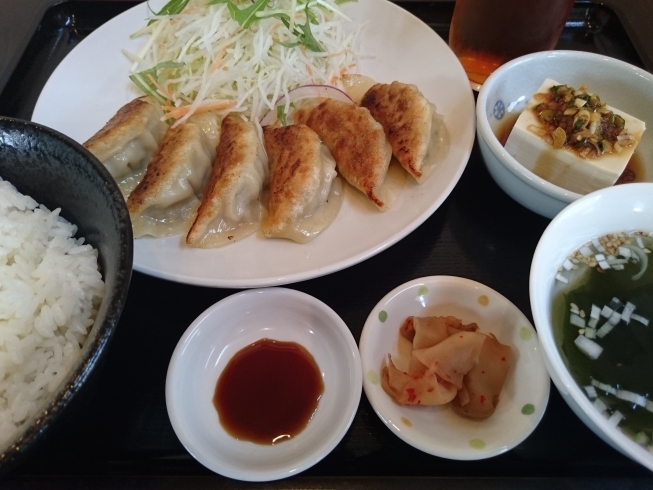 餃子定食 「本日のおすすめ」